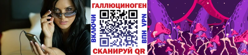 как найти закладки  Дмитровск  Галлюциногенные грибы Psilocybine cubensis 